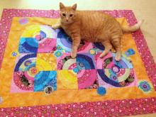Cat on an Abstract Quilt by Gulf Coast Quilts.